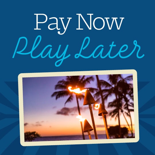 Pay-Now_540x540