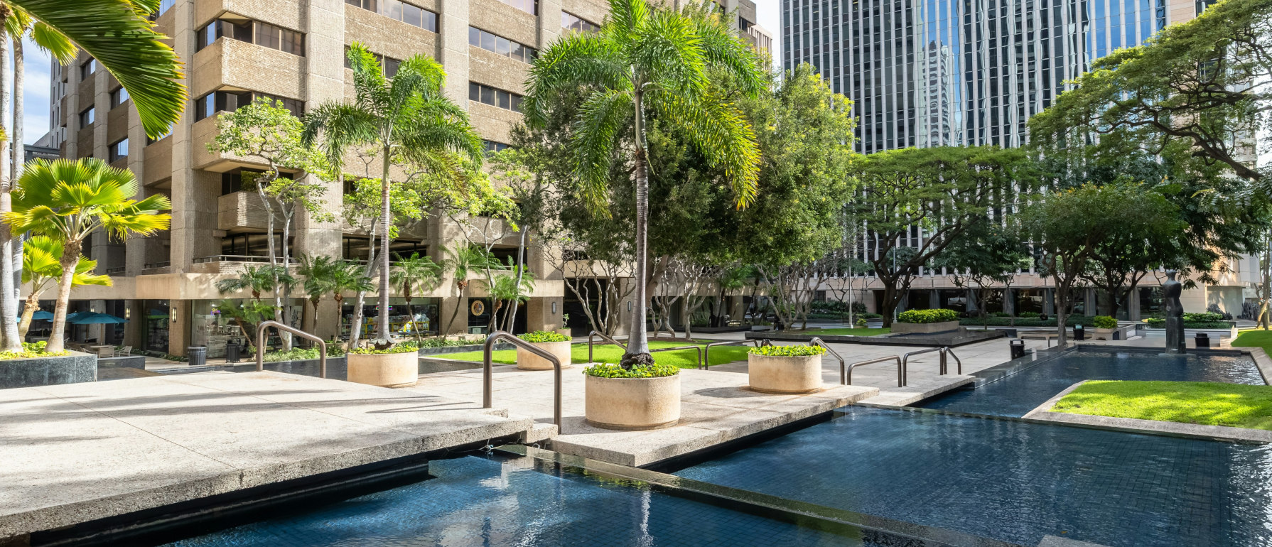A courtyard with a pool, trees, and buildings in the background.